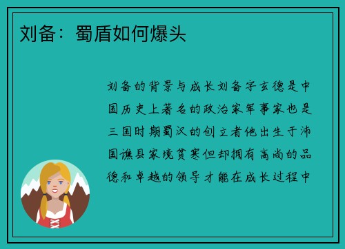 刘备：蜀盾如何爆头